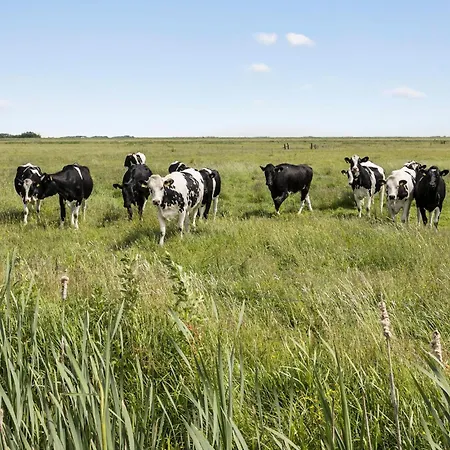 度假居 Awesome In With Wifi *