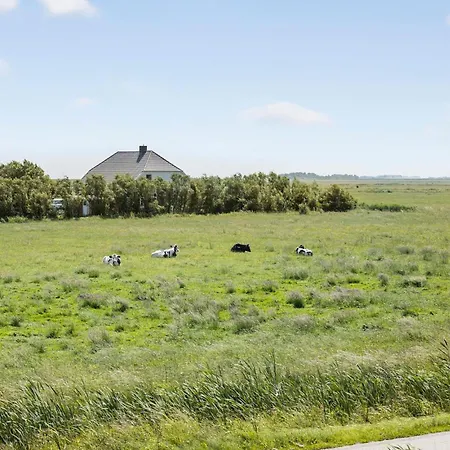 Awesome In With Wifi *