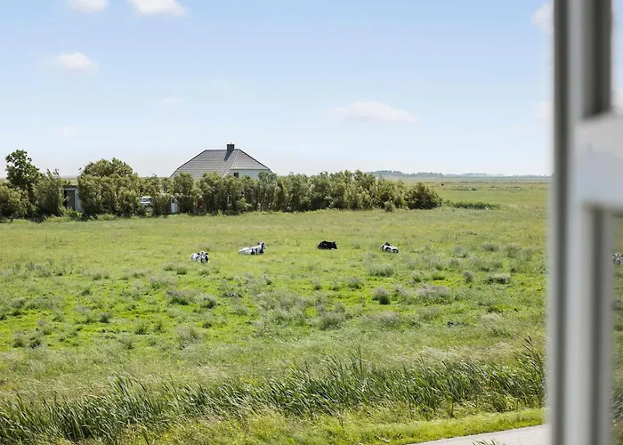 Awesome In With Wifi *